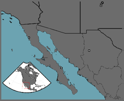 Map of Spanish Mission in the Southwest US and parts of Mexico