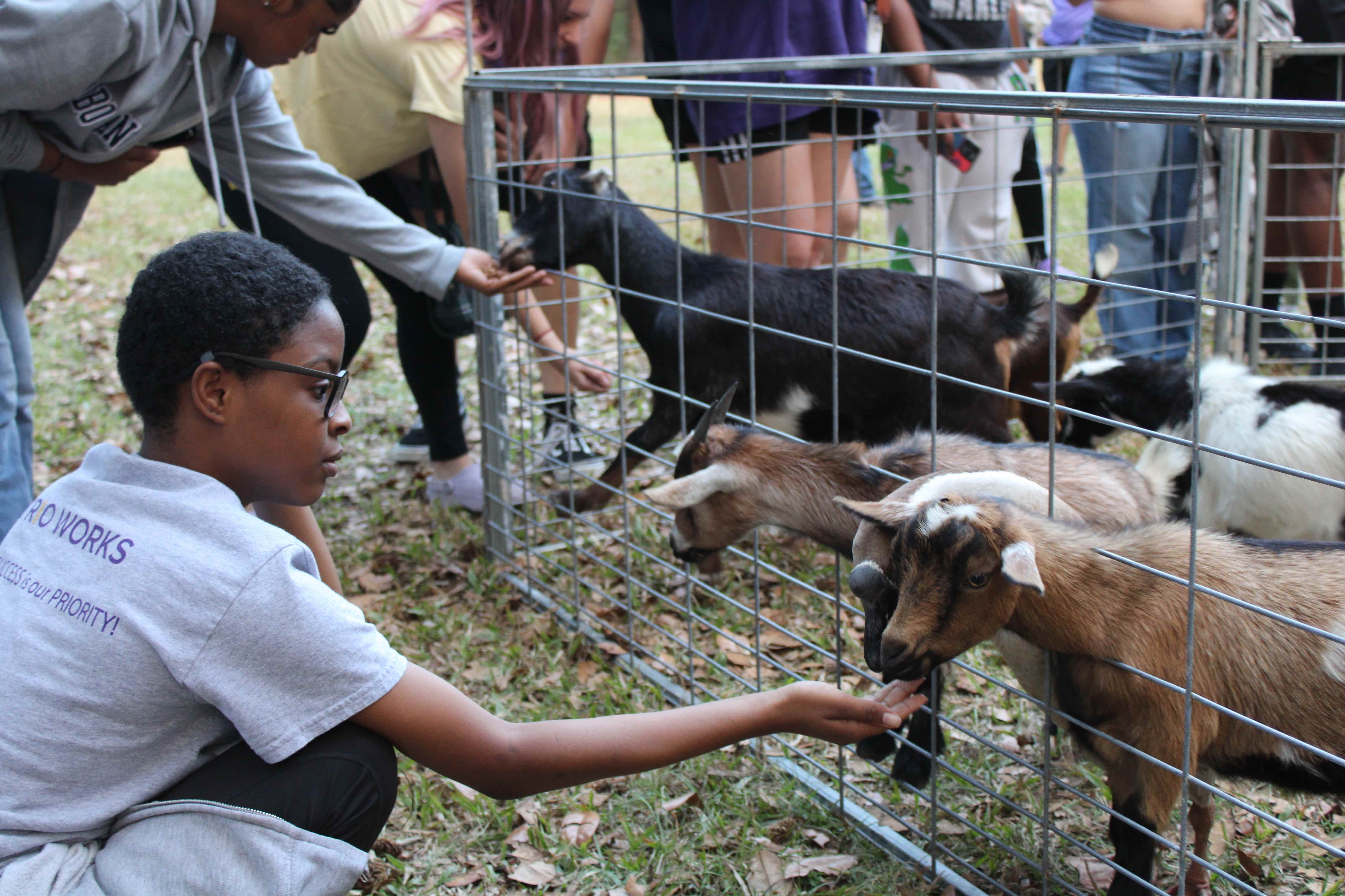 Student feeding a goat at an Acadian Hall event.