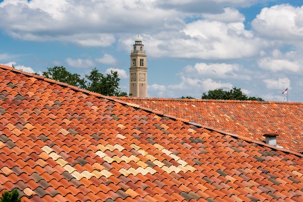 lsu rooftops