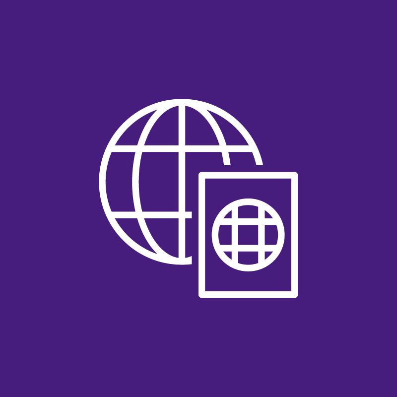 icon: globe and visa