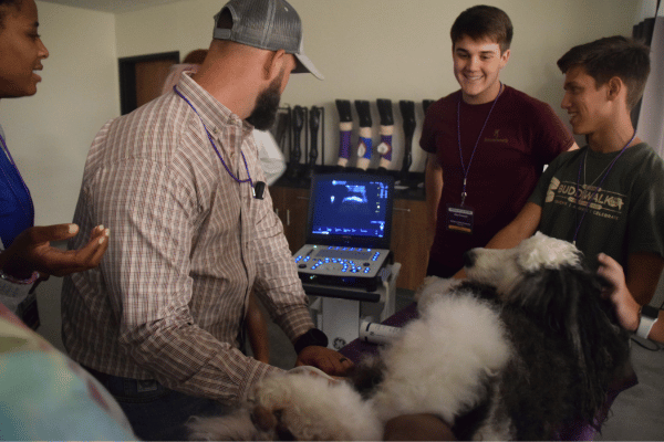 students performing an ultrasound