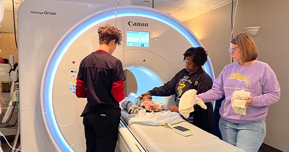 veterinarian and technicians with MRI